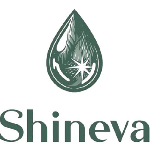 Ultra Clean Kitchen Care | Shineva.co.za